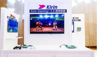 华为MATE30什么芯片